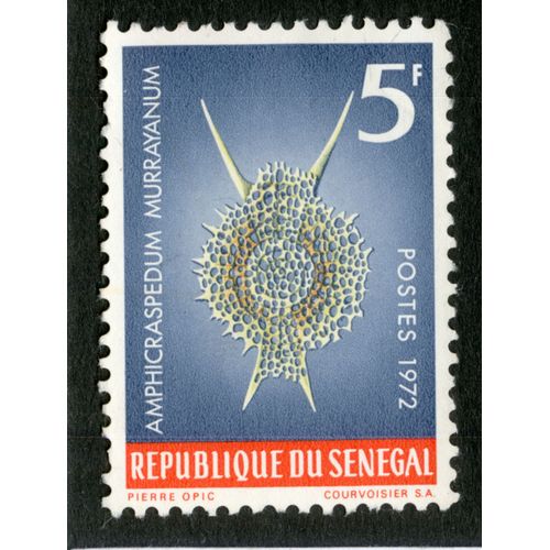 Timbre Non Oblitéré République Du Sénégal, Amphicraspedum Murrayanum, Postes 1972, 5 F