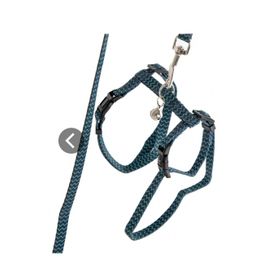 Harnais Et Collier