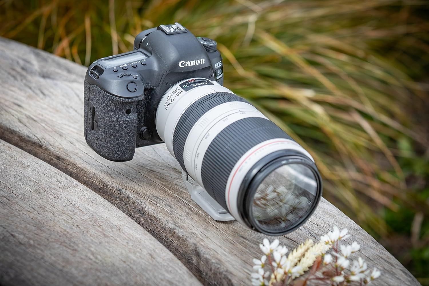 Objectif Canon EF 100-400 mm f/4.5-5.6 L IS II USM Fonction T�l� - pour EOS 100, 1200, 5DS, 6D, 70, 700, 750, 760, 7D, 8000, Kiss X8i, Rebel T6i, Rebel T6s image 2 | Rakuten