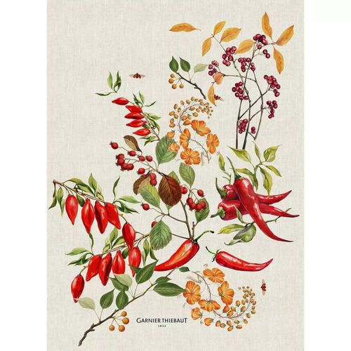 Torchon Lavé Métis Lin & Coton Multicolore 50x70 Cm