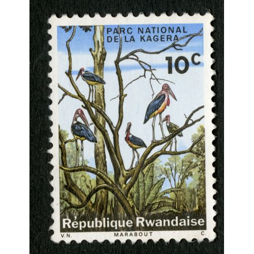 Timbre Non Oblitéré République Rwandaise, Parc National De La Kagera, 10 C
