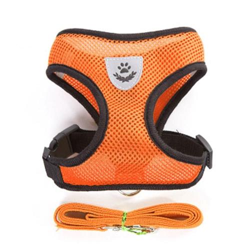 Ensemble De Harnais Et Petite Sangle Pour Animaux De Compagnie, Ensemble D'accessoires Pour Petits Chiens, Chiots Et Chats, Collier Pour Chihuahua, Carlin, Bouledogue L Couleur Orange