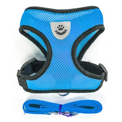 Ensemble De Harnais Et Petite Sangle Pour Animaux De Compagnie, Ensemble D'accessoires Pour Petits Chiens, Chiots Et Chats, Collier Pour Chihuahua, Carlin, Bouledogue M Couleur Bleu