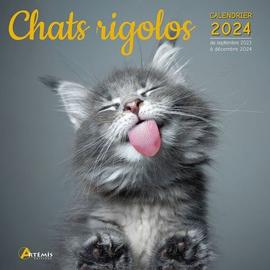 Frigobloc photos Chats rigolos 2024 (de janv. à déc. 2024) - Playbac
