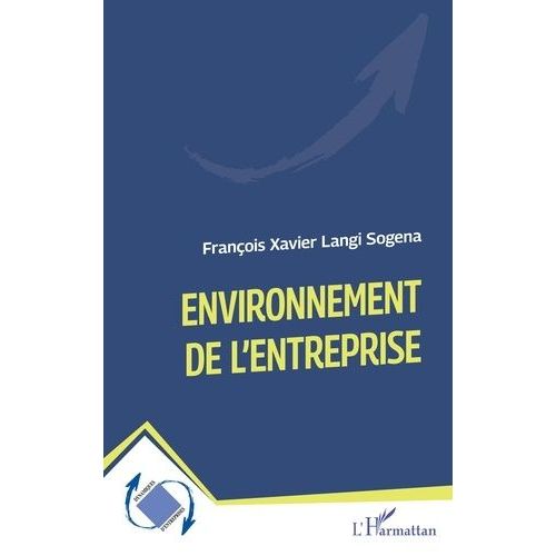 Environnement De L?Entreprise