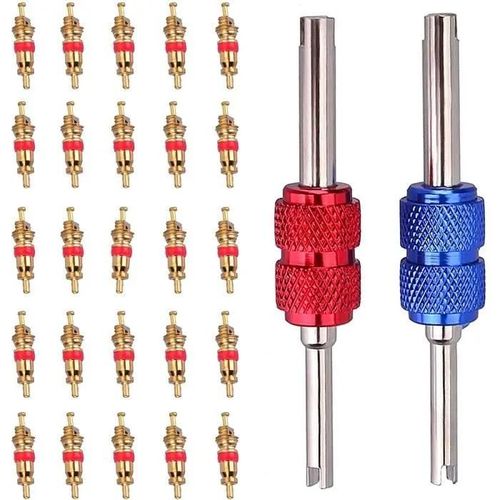 2 Démonte Obus De Valve Des Pneus,20 Obus De Valve Assortiment Des Outils Pour Réparation De Pneu Pour Vélo Moto Voiture Camion