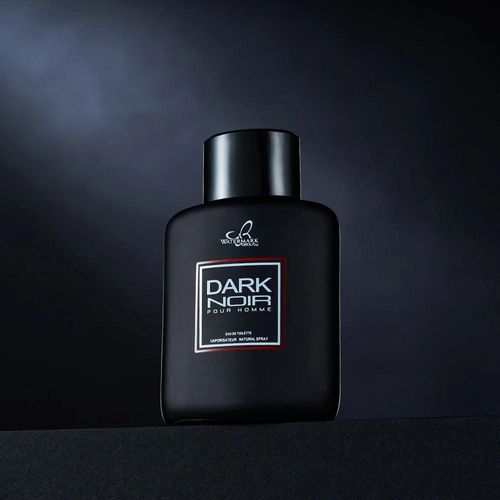 Dark Noir - 100ml 3.4fl.Oz Fougère Eau De Parfum Spray Pour Hommes,Parfum Longue Durée,Parfum Frais Pour Les Rencontres,La Vie Quotidienne Et Les Cadeaux 