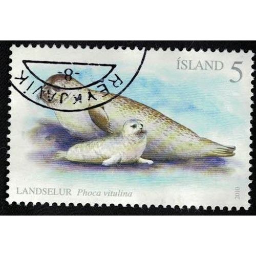 Islande 2010 Oblitéré Used Animaux Veau Marin Phoca Vitulina Phoque Commun