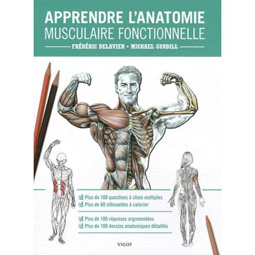 Apprendre L'anatomie Musculaire Fonctionnelle