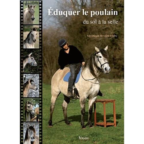 Eduquer Le Poulain - Du Sol À La Selle
