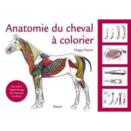 Anatomie Du Cheval À Colorier - Une Aide À L'apprentissage De L'anatomie Du Cheval