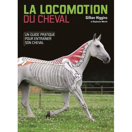 La Locomotion Du Cheval - Un Guide Pratique Pour Entraîner Son Cheval