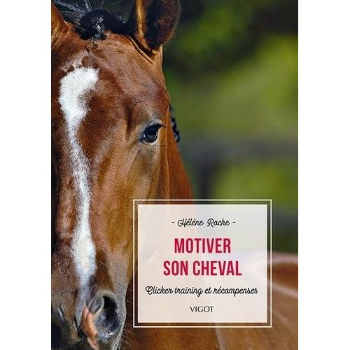 Motiver Son Cheval - Clicker Training Et Récompenses