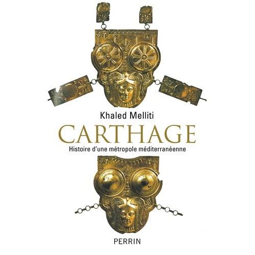 Carthage - Histoire D'une Métropole Méditerranéenne
