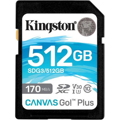 Canvas Go! Plus Carte SD 512GB SDXC 170R C10 UHS-I U3 V30