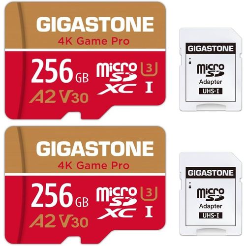 [5 Ans Récupération de données Gratuite] Carte Mémoire 256 Go Lot de 2 Cartes,4K Game Pro,Compatible avec GoPro Switch 1,Vitesse 100 Mo/s. A2 U3 V30 Carte Micro SDXC avec Adaptateur SD.
