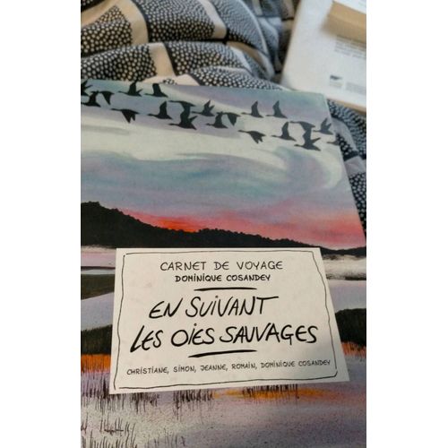 En Suivant Les Oies Sauvages