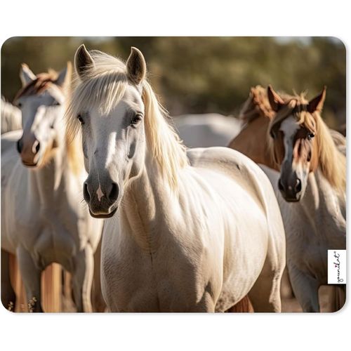 Tapis de souris motif chevaux sauvages I 24 x 19 cm I Tapis de souris de taille standard I Impression de qualité sur caoutchouc cellulaire I Antidérapant Imperméable et facile à nettoyer I p.[F43]