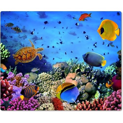 Merchandise for Fans Tapis de souris en textile avec dos en caoutchouc antidérapant pour tous les types de souris Motif : mer avec récif corail et poissons Absorption sous l'eau | 006.[F649]