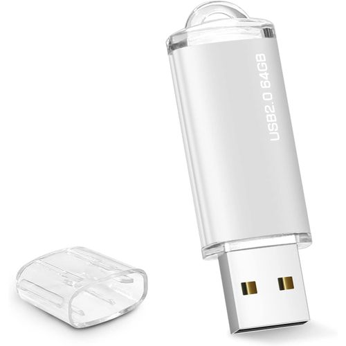 Cle USB 64 GO, Clé USB 64 Giga Mini Clef USB 64GO USB 2.0 Pen Drive 64GB avec Lumière LED pour Ordinateur Portable, Tablette, PC etc Stockage Données (Argent).[F949]