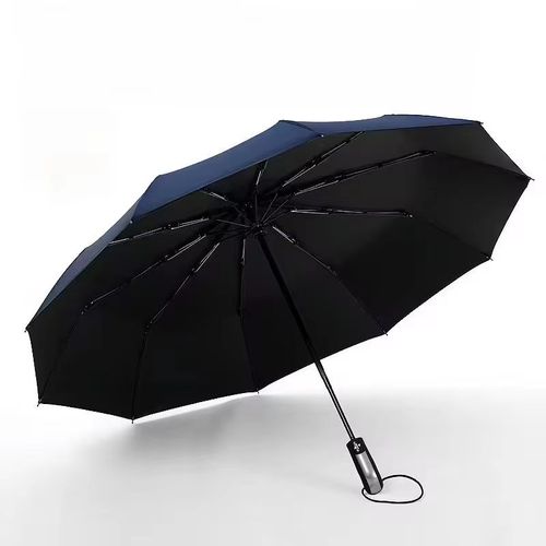 Grand Parapluie D'affaires À Dix Os,Pliable Automatiquement,Résistant Aux Chocs,Résistant Au Vent Et À La Pluie- Navy Blue-D