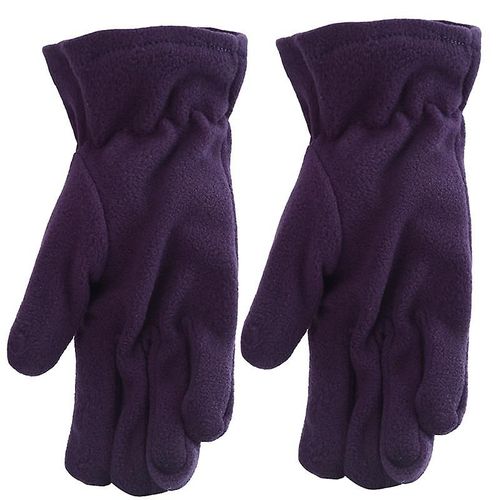 Paire De Nouveaux Gants Polaires En Daim Polaire, Chauds D'hiver, Mitaines Lavables En Plein Air, Gants De Couleur Unie, Doigt Complet, Taille Unique Violet