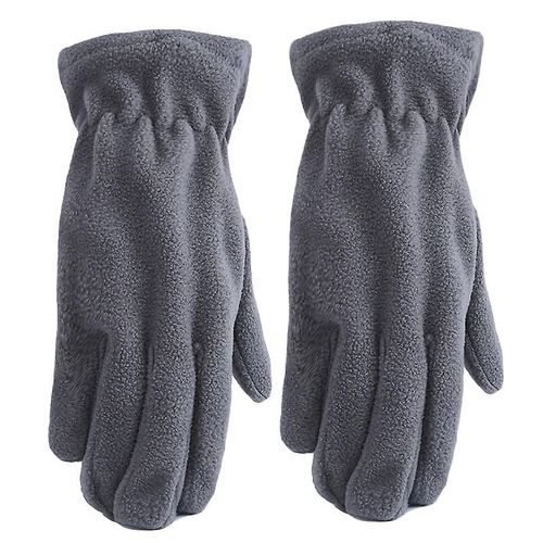 Paire De Nouveaux Gants Polaires En Daim Polaire Pour L'hiver, Chauds, Mitaines Lavables En Plein Air, Gants De Couleur Unie, Doigt Complet, Taille Unique, Gris Clair
