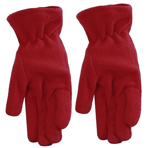 Paire De Nouveaux Gants Polaires En Daim Polaire, Chauds D'hiver, Mitaines Lavables En Plein Air, Gants De Couleur Unie, Doigt Complet, Taille Unique, Grand Rouge