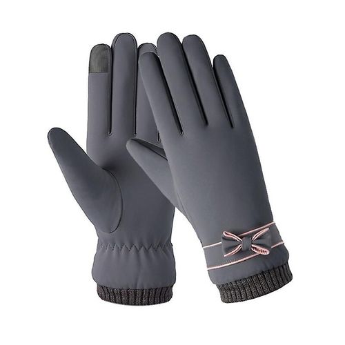 Mode Hiver Femmes Gants Coupe-Vent Interne En Peluche Chaude Dame Mitaines Écran Tactile Doux Pour La Peau En Cuir Pu Femme Gants Taille Unique Gris