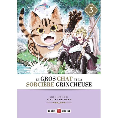 Gros Chat Et La Sorcière Grincheuse (Le) - Tome 3