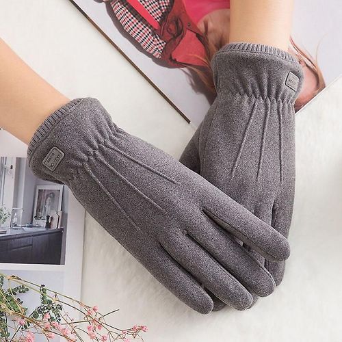 Hiver Femme Double Épais Peluche Poignet Chaud Cachemire Mignon Cyclisme Mitaines Femmes Daim Cuir Écran Tactile Conduite Gant Taille Unique C Gris A36
