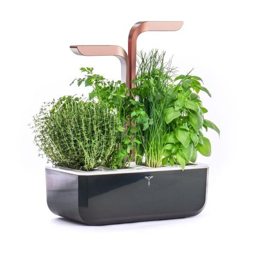 Jardin d'intérieur Veritable Smart Copper