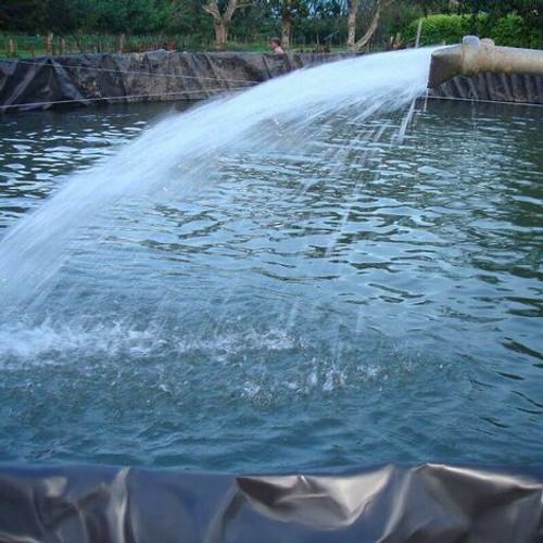 Revêtement de bassin en caoutchouc PEHD pour petits étangs