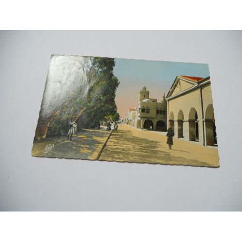 Algerie Carte Postale Couleur Biskra Gaufre De 1959 N°697 Rue Berthe Edit C A P Tbe