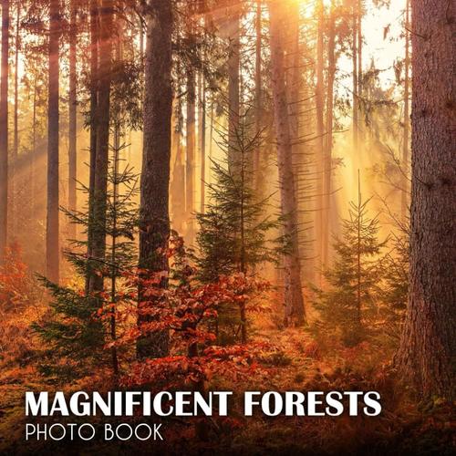 Magnificent Forests Photography Book: Pictures Of The Most Beautiful Scenery Of Nature Amazing Colorful Images For All Ages With 30+ Pictures Inside Photobook To Relieve Stress And Get Creative