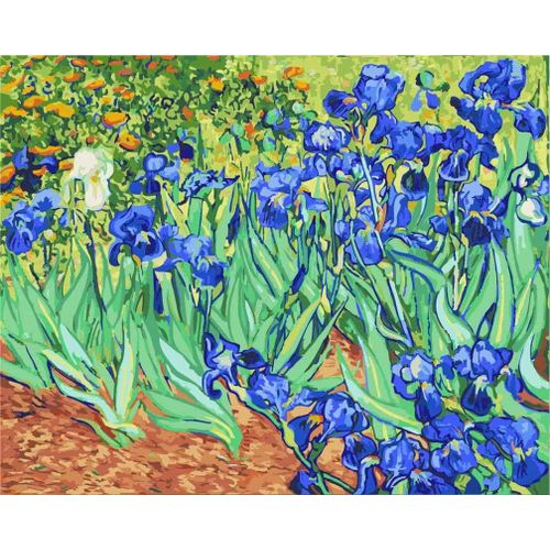 Eryi-Kit De Peinture Par Numéros Iris Sur Le Sol Par Van Gogh Numéro Peinture Pour Adultes Et Enfants 40,6 X 50,8 Cm Encadrée Ou [6149]