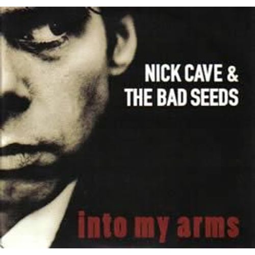 Into My Arms