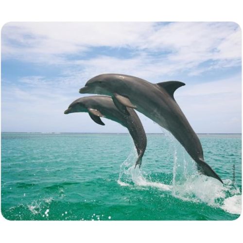 Saut DE Dauphins Tapis de Souris (24 x 19 cm) en Caoutchouc spécial extrêmement résistant à la déchirure avec Une Face inférieure Fortement adhésive pour Une Tenue optimale.[F191]