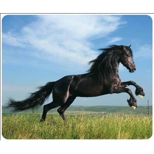 « Cheval noir - Black Beauty » (MOTIV 82 - CHEVAL) : Tapis de souris de qualité en caoutchouc spécial très résistant à la déchirure. Fond très adhérent pour un maintien optimal.[F660]