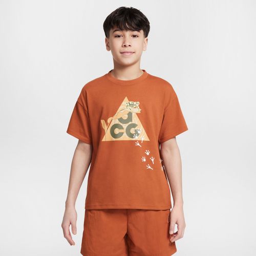 T-Shirt Dri-Fit Nike Acg Pour Ado - Marron
