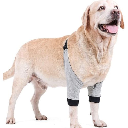 Support De Coude De Protection Pour Chien, Couverture De Jambe Avant Réglable, Support De Protection Contre Les Blessures Chirurgicales Pour Animaux De Compagnie, S