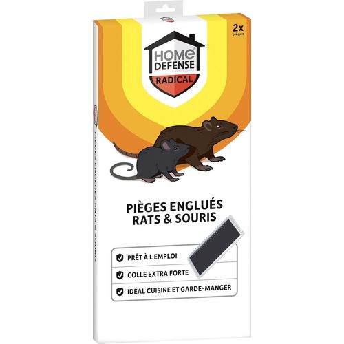 KALANKA-HOME DEFENSE HDGLUR - Pièges Englués Contre Rats et Souris - Produit prêt à l'emploi - Très efficace, colle extra forte - Pour cuisine et garde-manger - S'utilise sans appât - Mise en place r