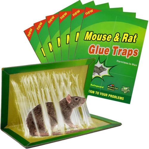 KALANKA-Piege a Souris Colle Collant 6 Pièces Pièges à Souris Attrape Anti Souris Rat Glue Plaque Collante Piège Souris et à Rats [6 Pièces]