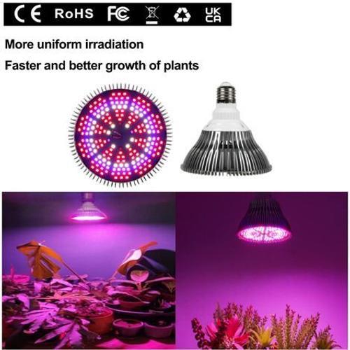 Ampoule Horticole E27 LED pour Plantes, 30W E27 avec 40LED Lampe Plante à  Spectre Complet, AC