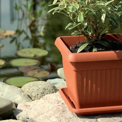 Cache-Pot Prosperplast Support Pour Pot De Fleurs En Terre Cuite Terra Pkwt41