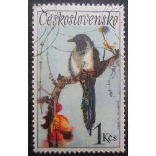 Tchecoslovaquie N°1957 Pie Oblitéré