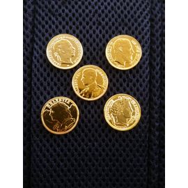 Lot 20 Francs Diverses Plaqué Or