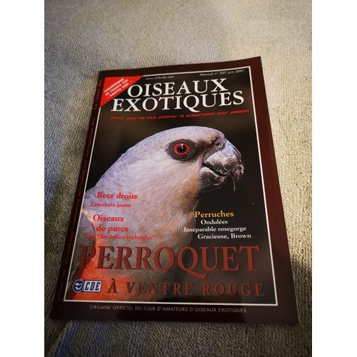 Oiseaux Exotiques N° 257 Perroquet À Ventre Rouge Juin 2001