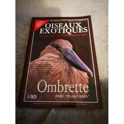 Oiseaux Exotiques N° 253 Ombrette - Février 2001