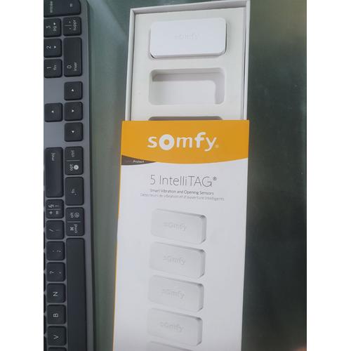 SOMFY 2401487 - IntelliTAG - Détecteur auto-protégé de vibration pour  intérieur ou extérieur - Détection avant l'ouverture - Compatible Somfy One  (+) & Somfy Home Alarm (Advanced)